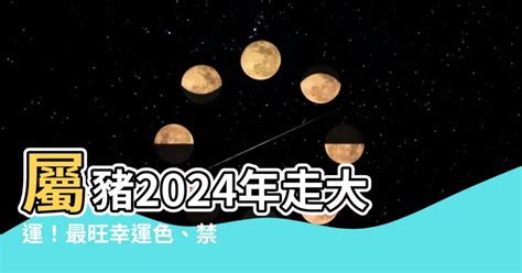 生肖豬幸運色|【屬豬 顏色】速查2024屬豬運勢指南：幸運色、財位、禁忌